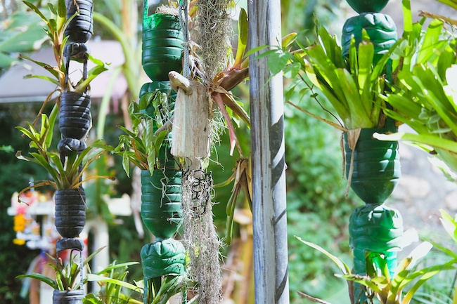 Inspirações Criativas: Dicas de Decoração com Seu Jardim Vertical - inspiração 2