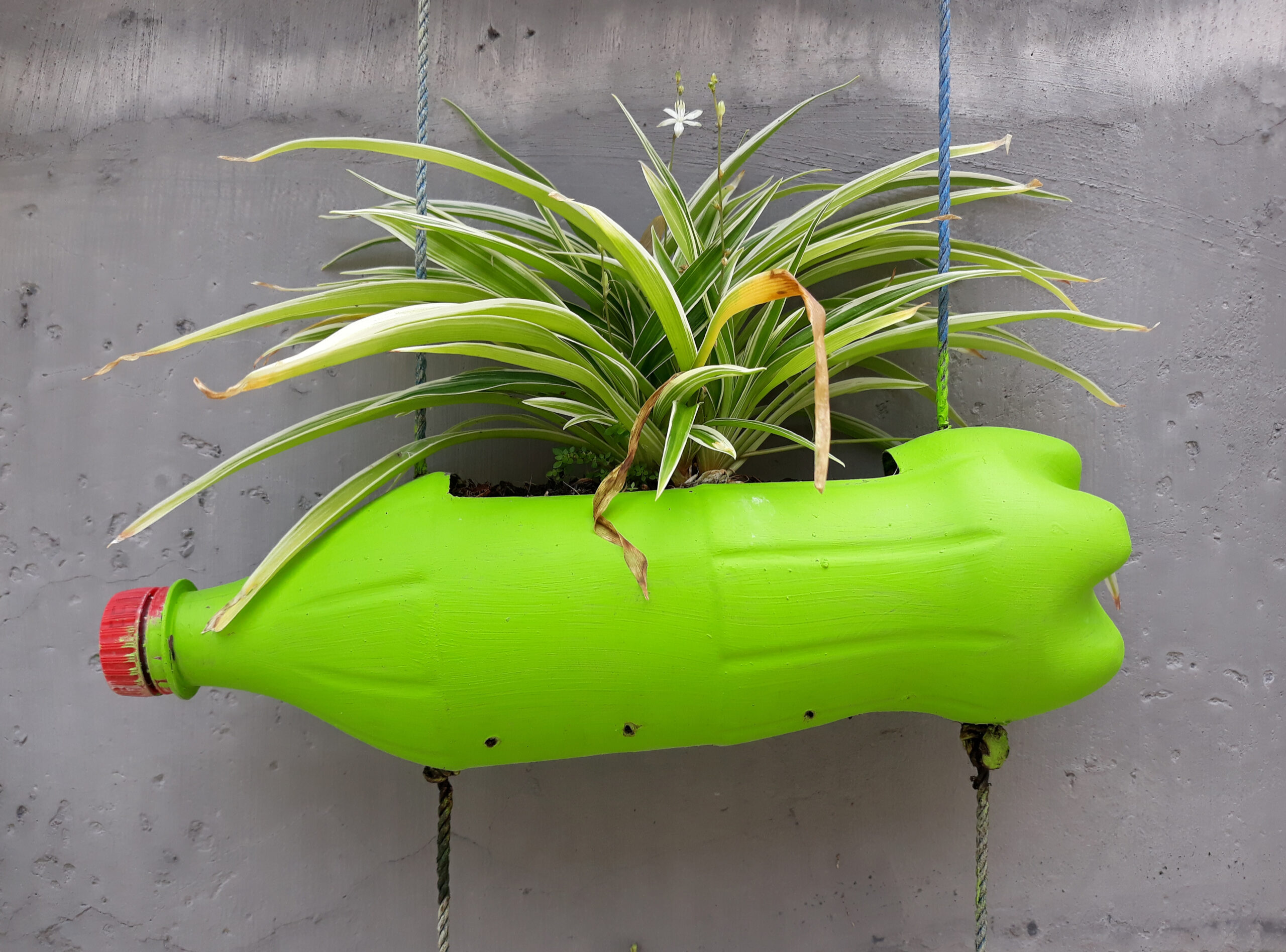 Sistema de Drenagem Inteligente para Evitar Excesso de Água - inspiração 1