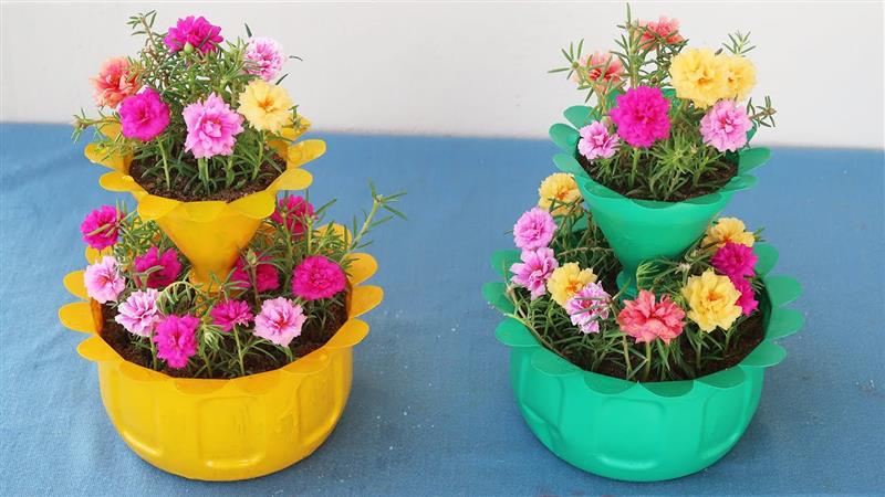 Seleção de Plantas Perfeitas para Jardins Verticais de PET - inspiração 1