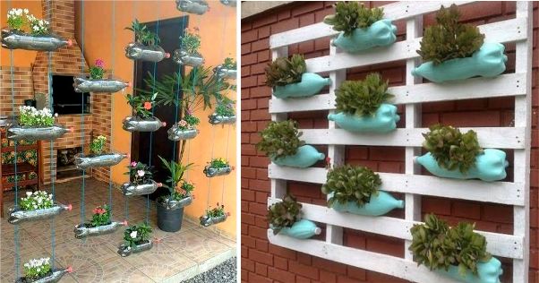 Seleção de Plantas Perfeitas para Jardins Verticais de PET - inspiração 3