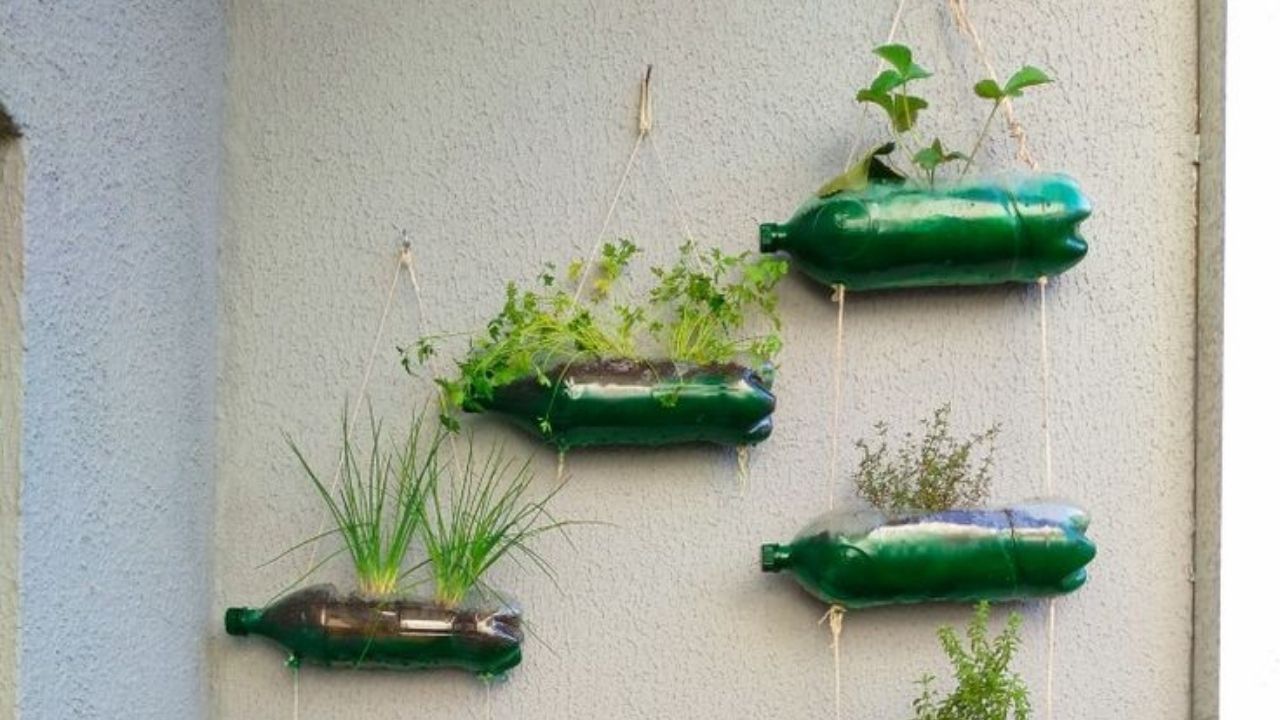 Técnicas de Irrigação Eficientes para o Dia a Dia - inspiração 1