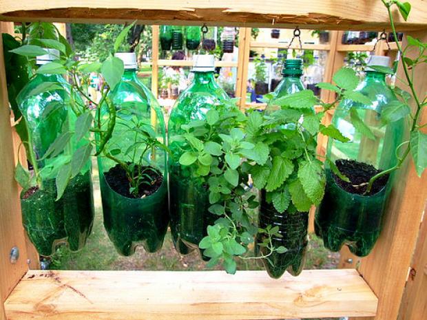 Técnicas de Irrigação Eficientes para o Dia a Dia - inspiração 3