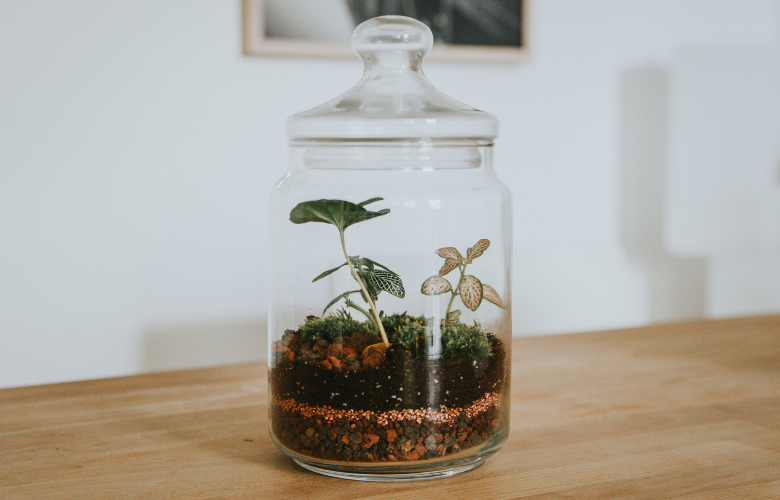 A Camada de Drenagem: A Base para um Ambiente Saudável - inspiração 2