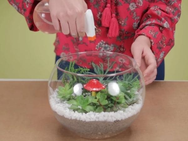 A Camada de Drenagem: A Base para um Ambiente Saudável - inspiração 3