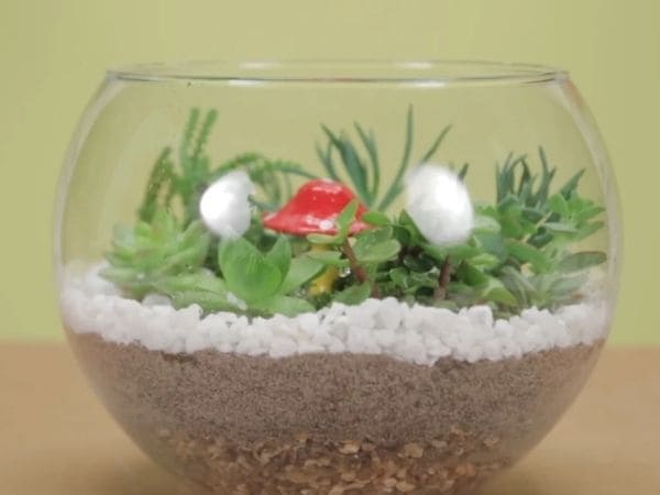 O Carvão Ativado: O Guardião Contra Odores e Fungos - inspiração 2