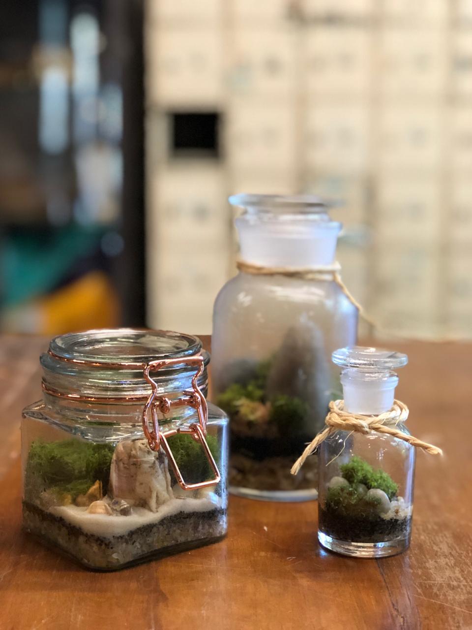 O Substrato Perfeito: O Solo Nutritivo para o Musgo - inspiração 2