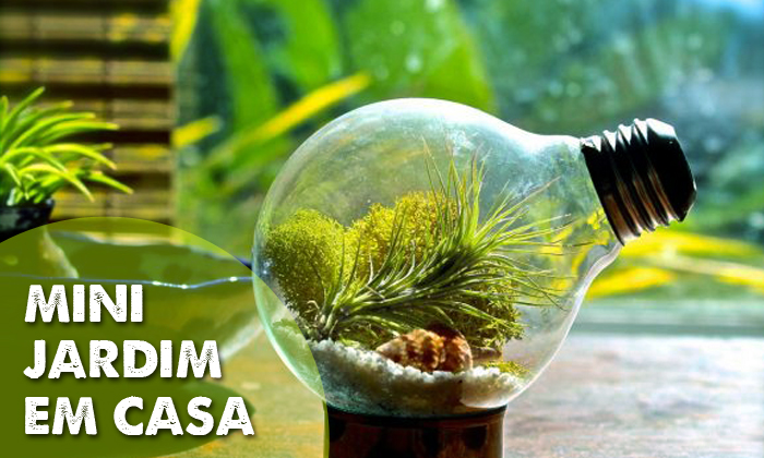 Seleção e Preparo do Musgo: A Alma Verde do Seu Terrário - inspiração 1