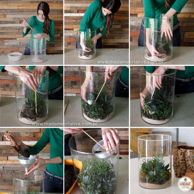 A Arte do Arranjo: Posicionando o Musgo e Outros Elementos - inspiração 3