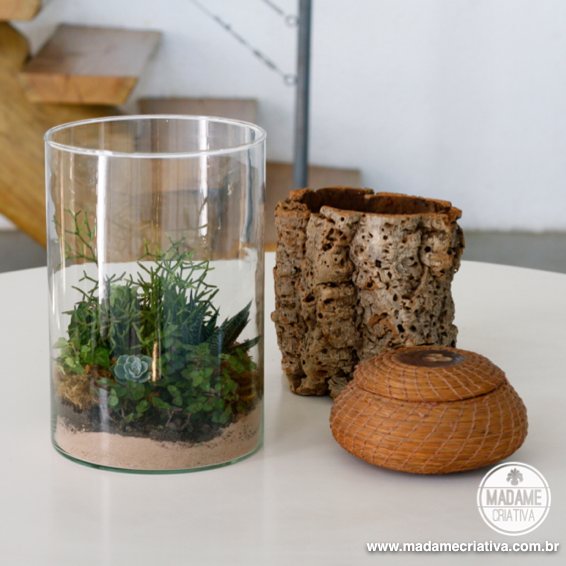 Hidratação Inicial: Dando Vida ao Novo Lar - inspiração 3