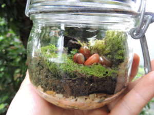 O Fechamento Estratégico: Criando o Ciclo da Água - inspiração 1