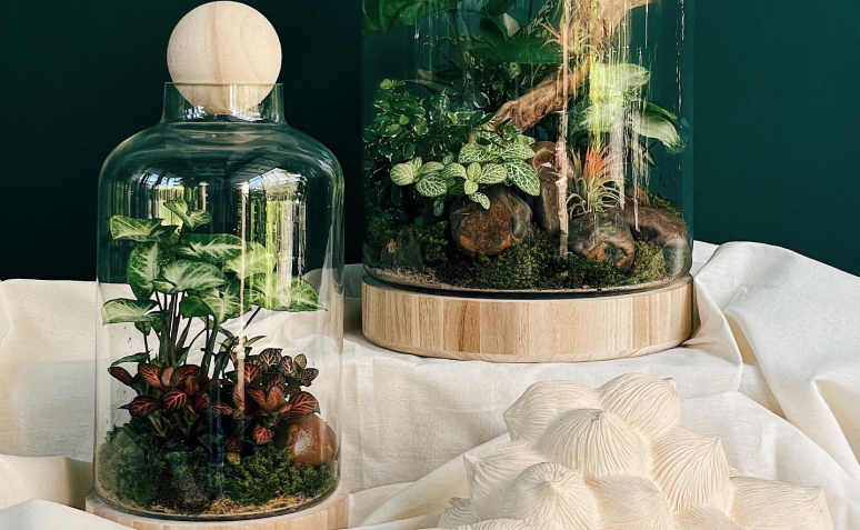 Cuidados Pós-Montagem: Monitorando e Ajustando o Ambiente - inspiração 1