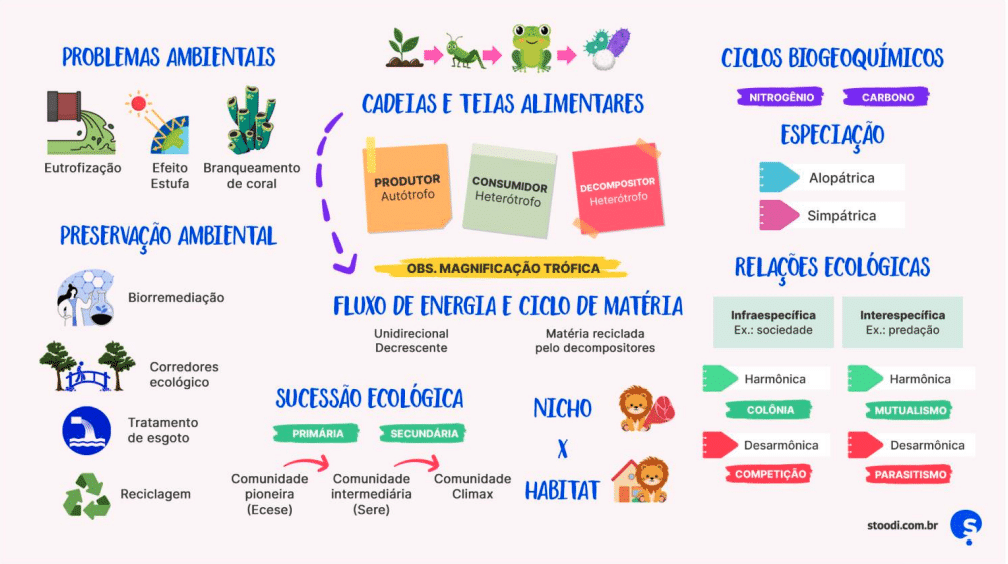 Entendendo o Básico: O Que São Mapas Mentais e Por Que Funcionam - inspiração 2