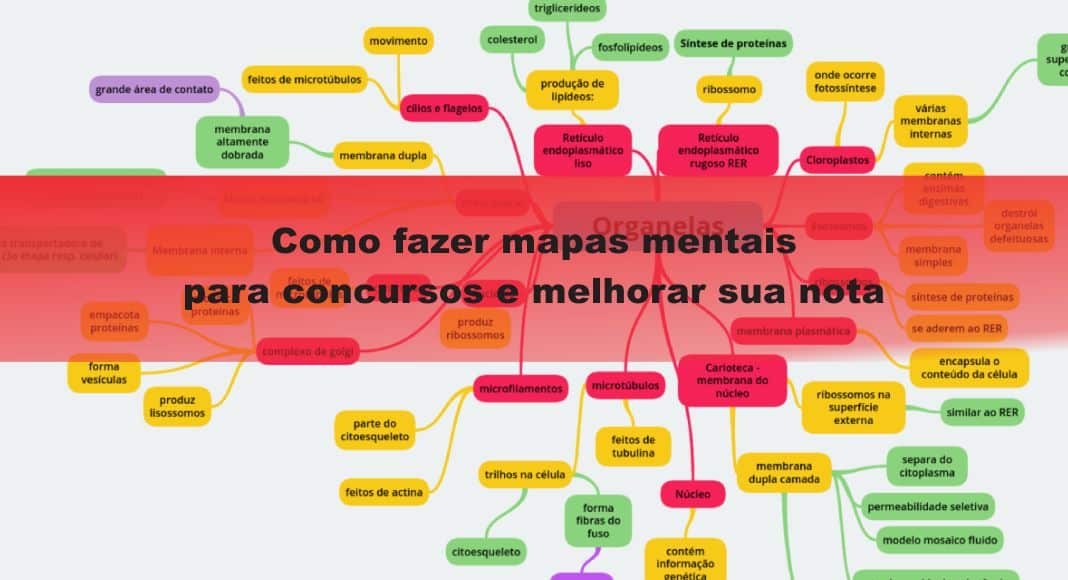 Prática Leva à Perfeição: Como Usar Mapas Mentais para Revisar - inspiração 1