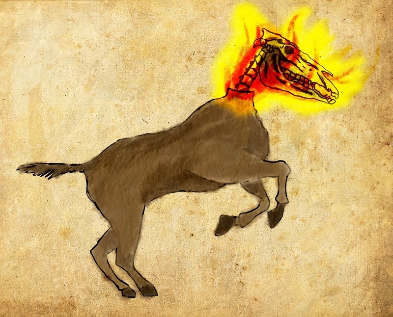 A Matinta Pereira: A Bruxa que Vira Ave Noturna - inspiração 3