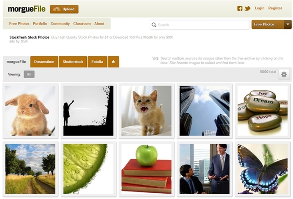 Unsplash: O Queridinho dos Criativos - inspiração 2