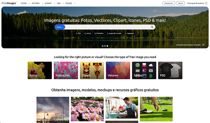 Pexels: Um Mar de Fotos e Vídeos de Qualidade - inspiração 1