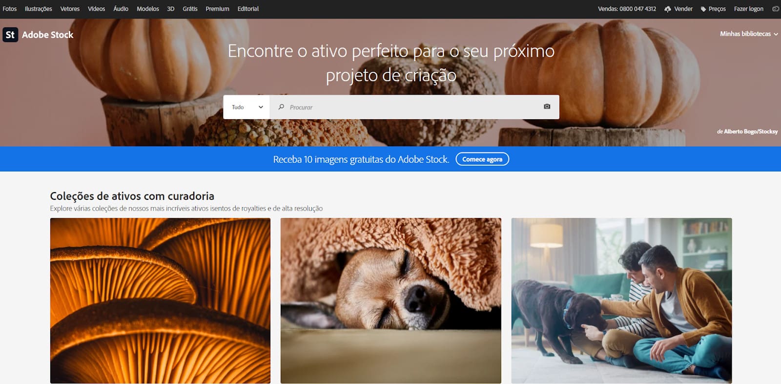 Gratisography: Fotos Autênticas e Divertidas - inspiração 2