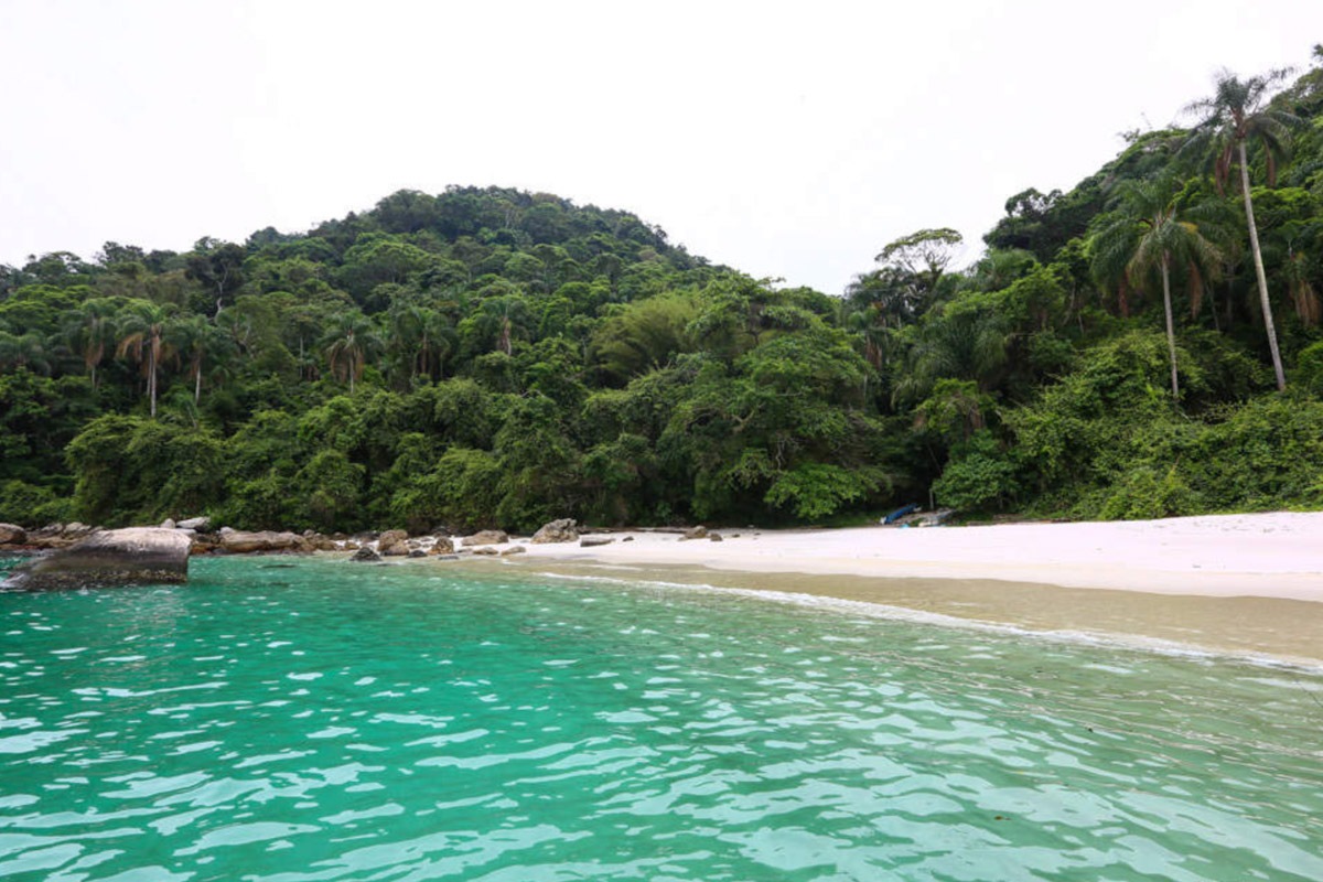 Lagoinha do Leste (Santa Catarina): Aventura e Paisagem de Tirar o Fôlego - inspiração 1