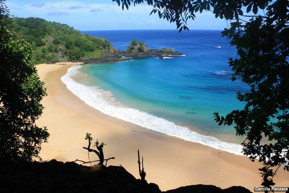 Praia dos Carneiros (Pernambuco): O Charme dos Coqueiros e das Piscinas Naturais - inspiração 3