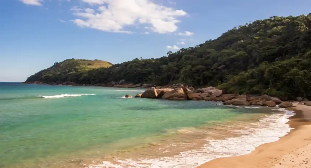 Praia do Forte (Bahia): História, Tartarugas e Mar Tranquilo - inspiração 2