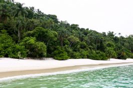 Pipa (Rio Grande do Norte): Falésias, Golfinhos e Um Toque Boêmio - inspiração 1