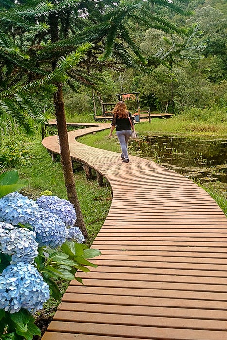 Passeios pela Natureza: Trilhas e Mirantes Gratuitos - inspiração 3