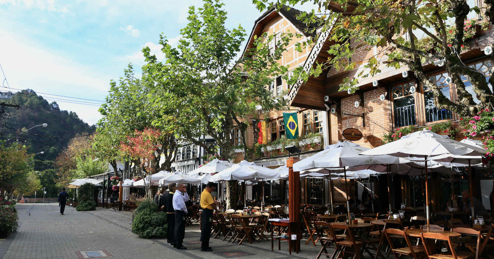 Explorando o Parque Estadual Campos do Jordão: Um Dia na Mata Atlântica - inspiração 1