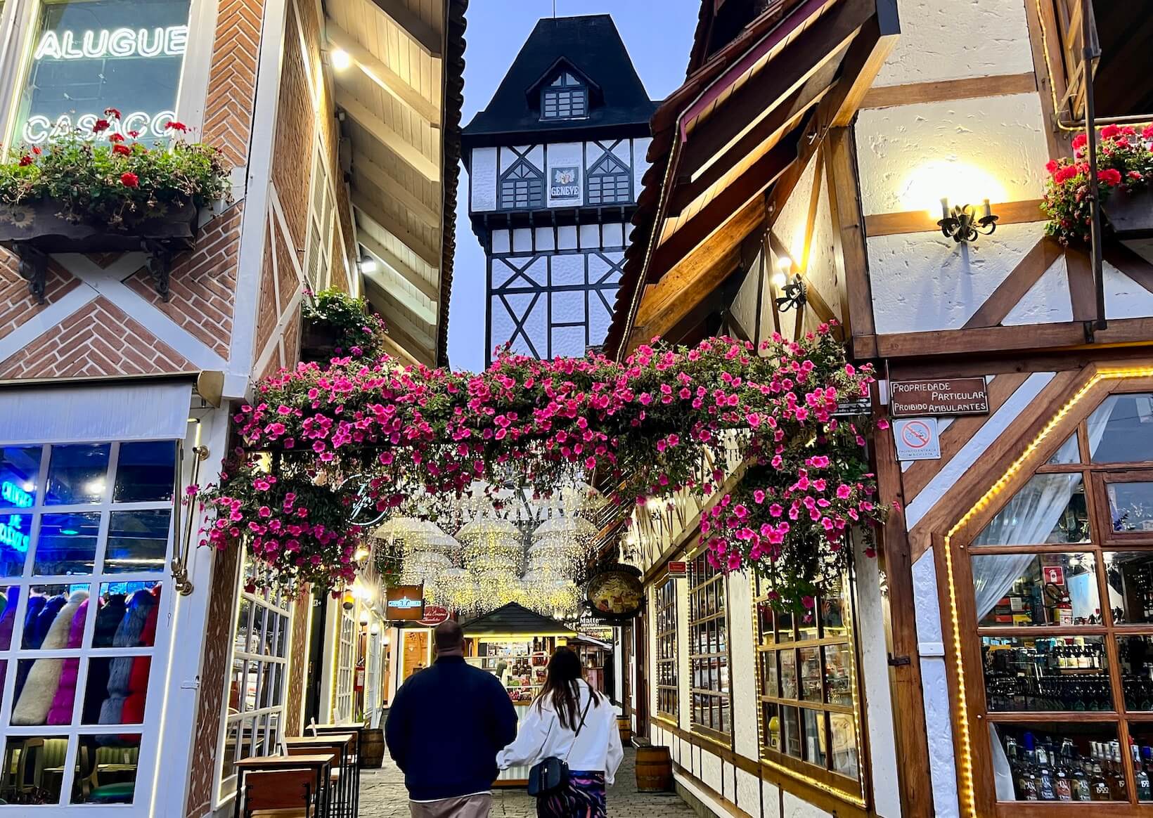 Explorando o Parque Estadual Campos do Jordão: Um Dia na Mata Atlântica - inspiração 3