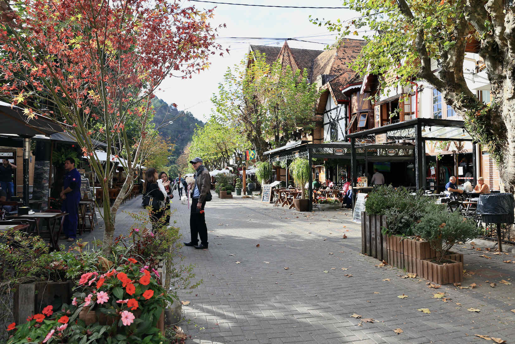 Visita à Fábrica de Chocolate local: Degustação Inteligente - inspiração 2