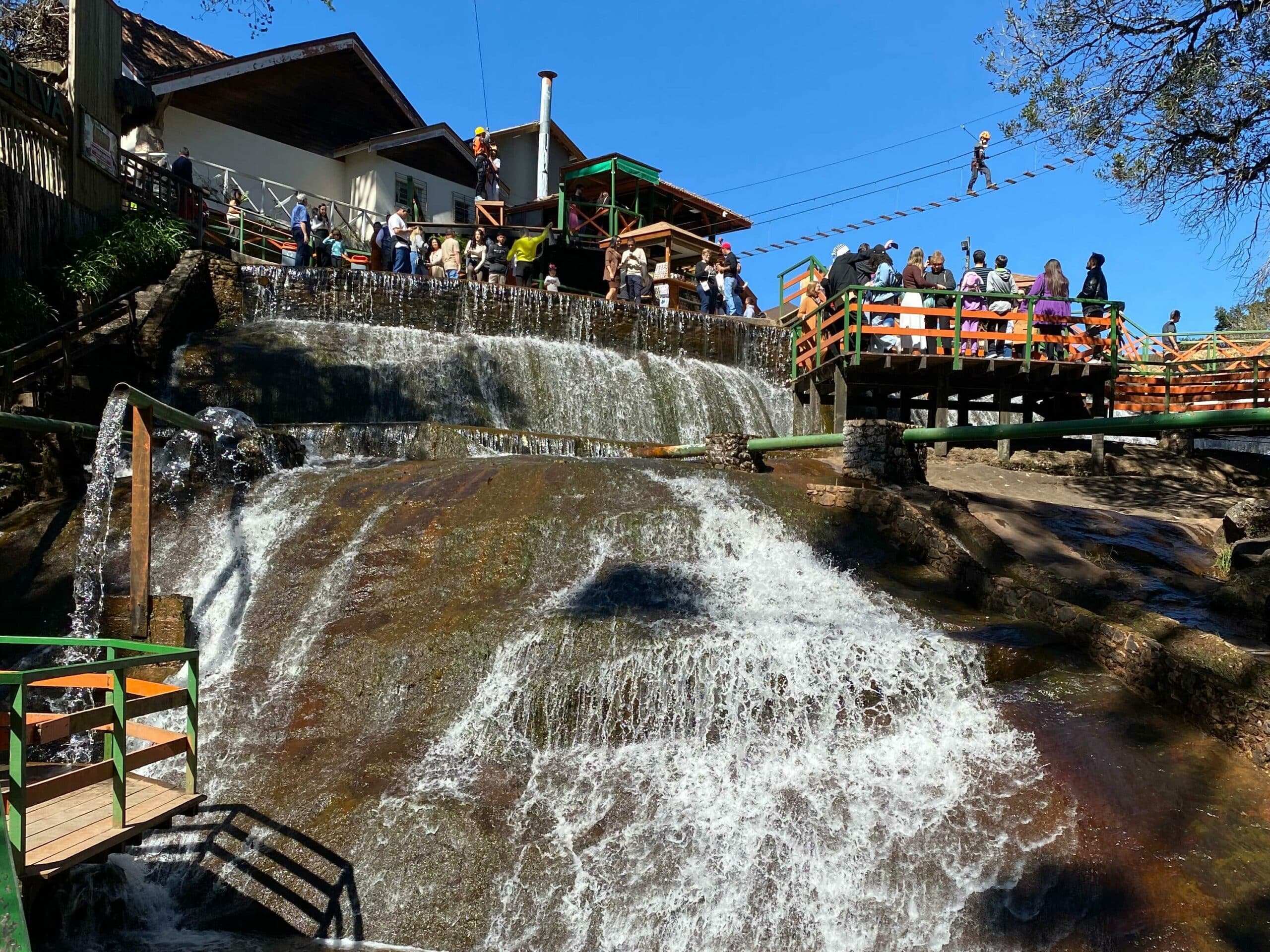 Visita ao Horto Florestal: Contato com a Flora Local - inspiração 2