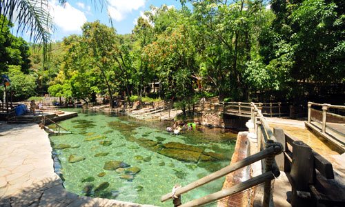 Water Park: Aventura e Adrenalina Garantidas nos Tobogãs - inspiração 1