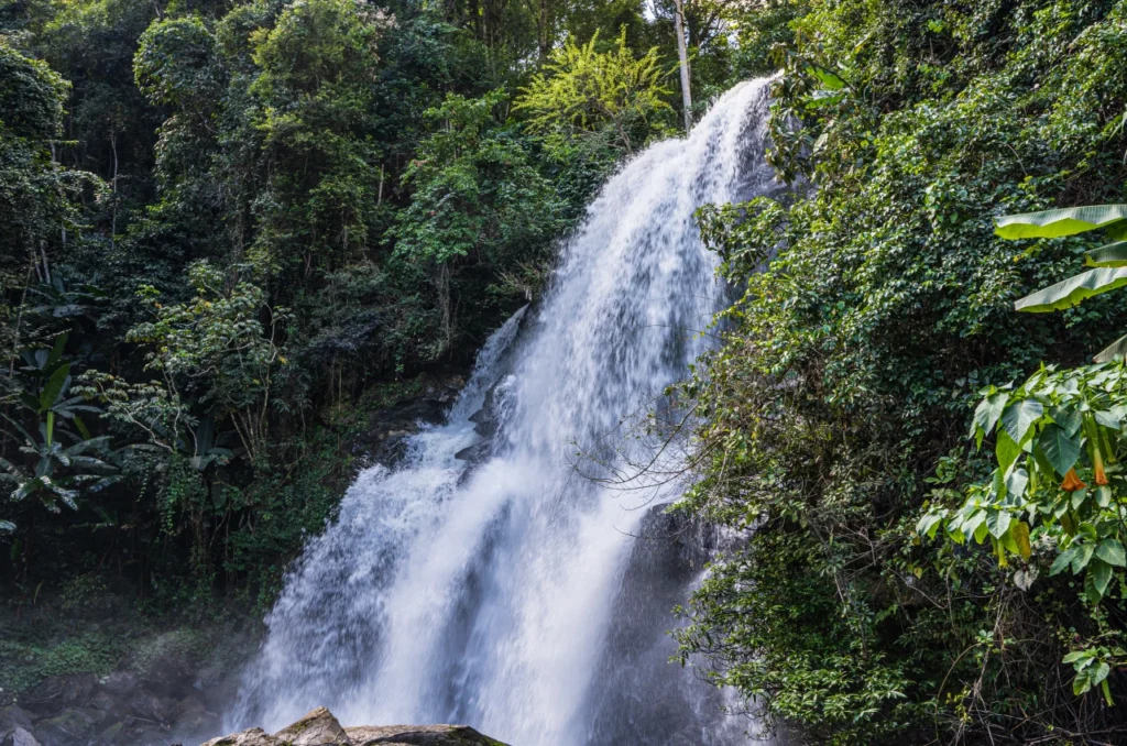 Passeio de Barco: Descobrindo Ilhas e Praias Remotas - inspiração 2