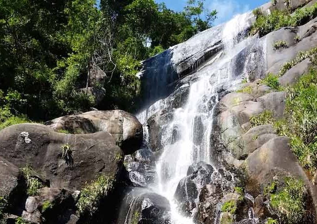 Gastronomia Local: Sabores Que Complementam Sua Experiência - inspiração 1