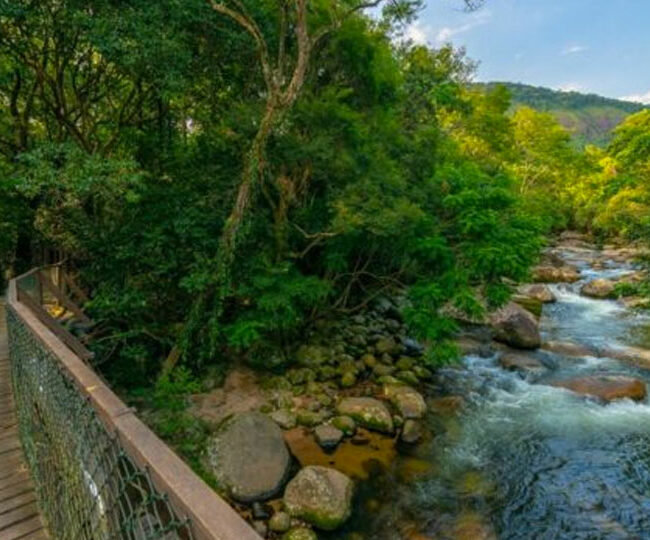 Dicas de Transporte: Como Circular com Facilidade - inspiração 1