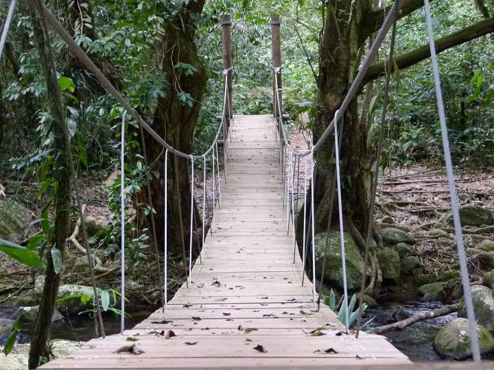 Dicas de Transporte: Como Circular com Facilidade - inspiração 2