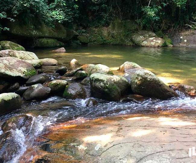 Dicas de Transporte: Como Circular com Facilidade - inspiração 3