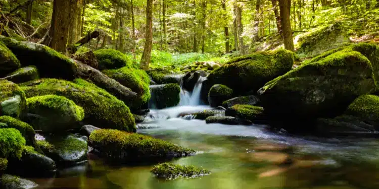 Aumenta o Foco e a Concentração - inspiração 2