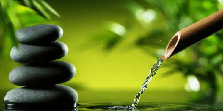 Facilita a Assimilação de Conteúdo - inspiração 2