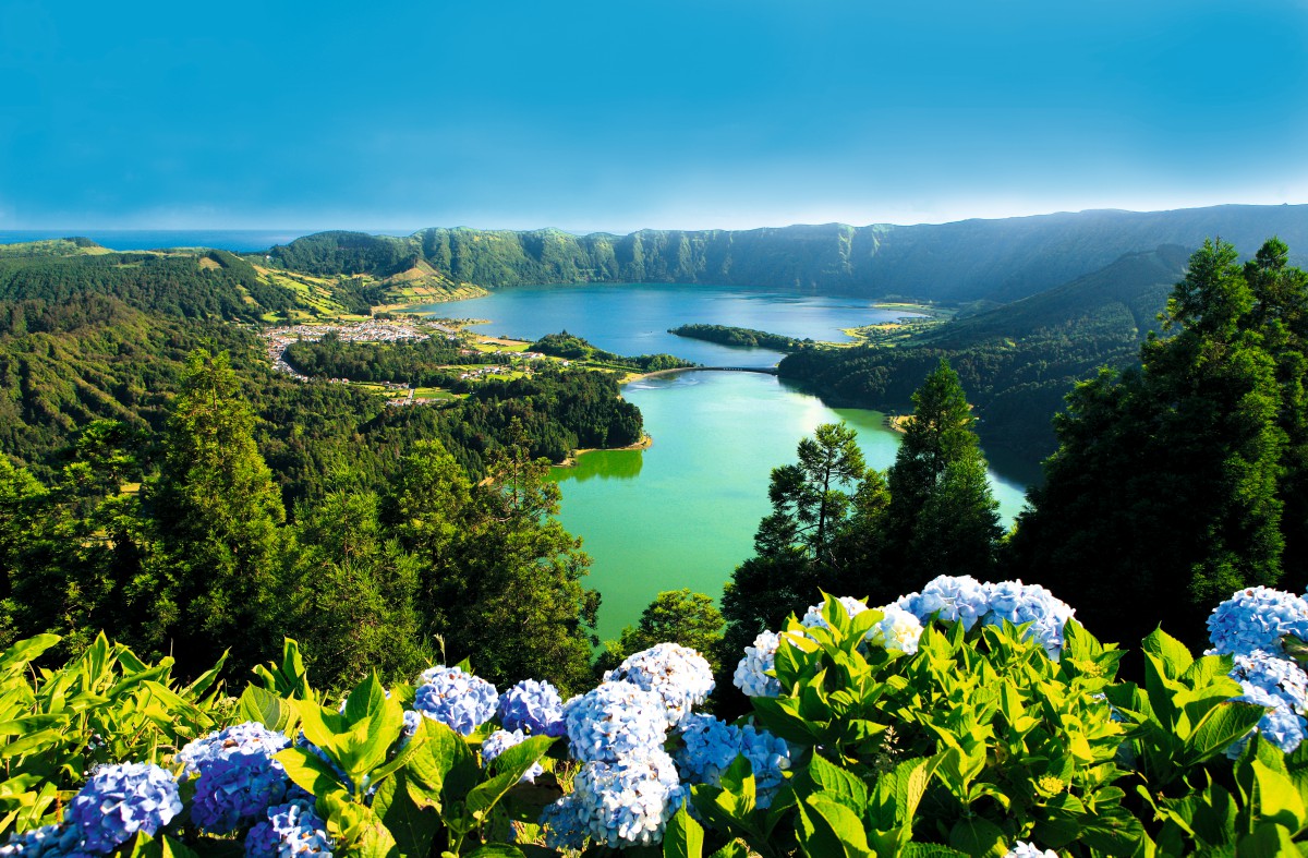 Promove um Ambiente de Estudo Agradável - inspiração 2