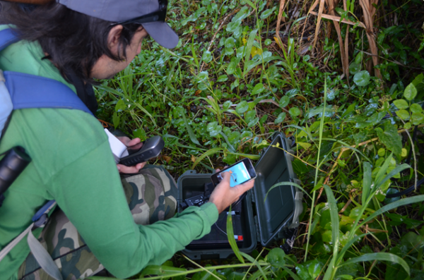 Favorece o Relaxamento Profundo - inspiração 1