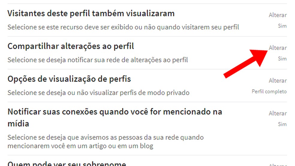 Renovação Estratégica do Resumo Profissional - inspiração 1