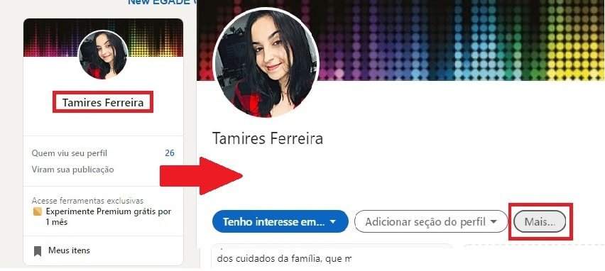 Adicionando Habilidades Relevantes e Recomendações - inspiração 1