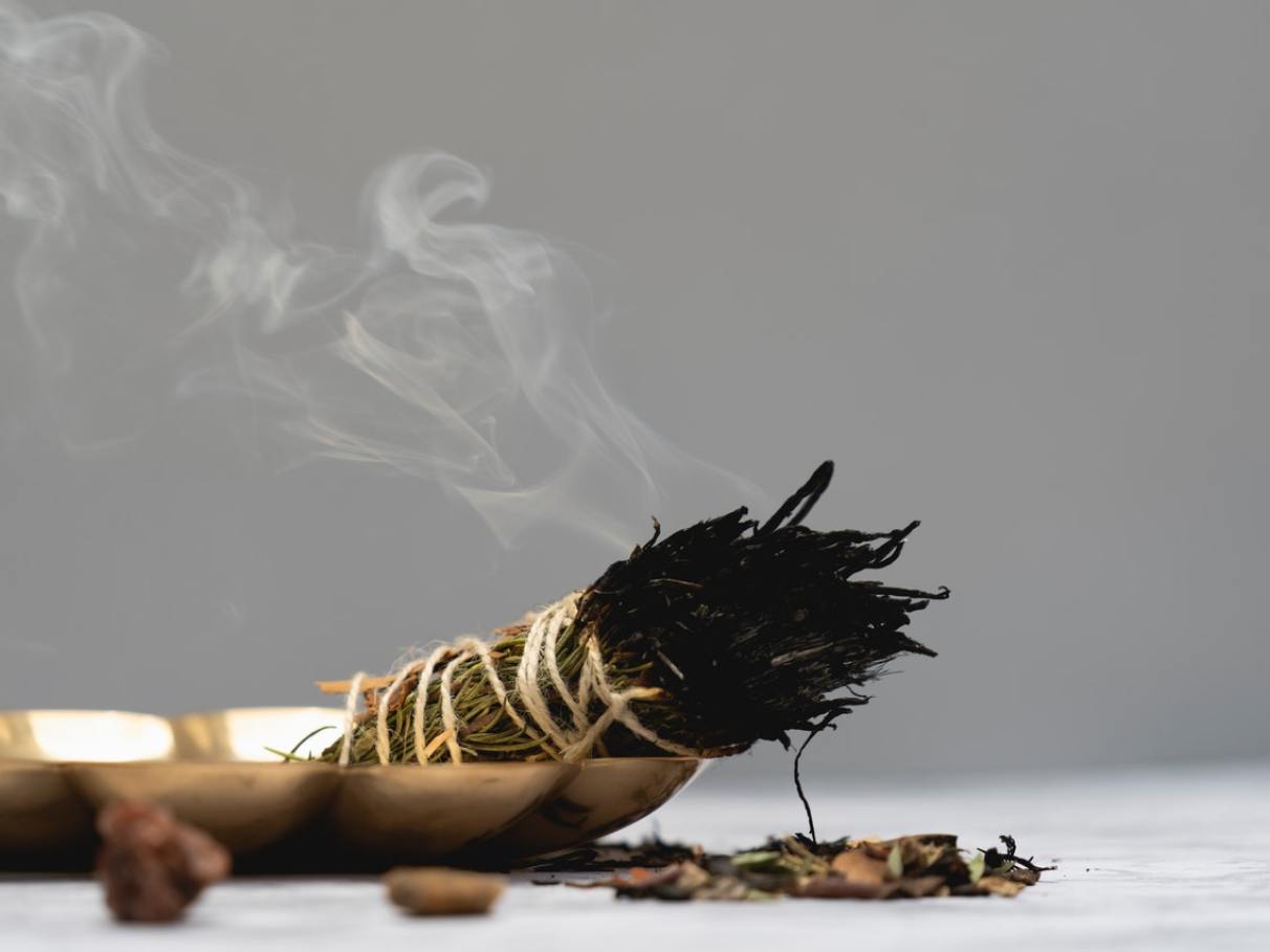 Manjericão: O Guardião da Prosperidade e da Paz - inspiração 2