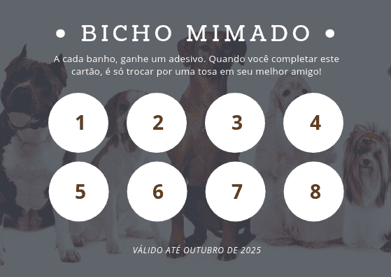 Estabelecendo as Regras Claras: Como Ganhar e Resgatar Recompensas - inspiração 2