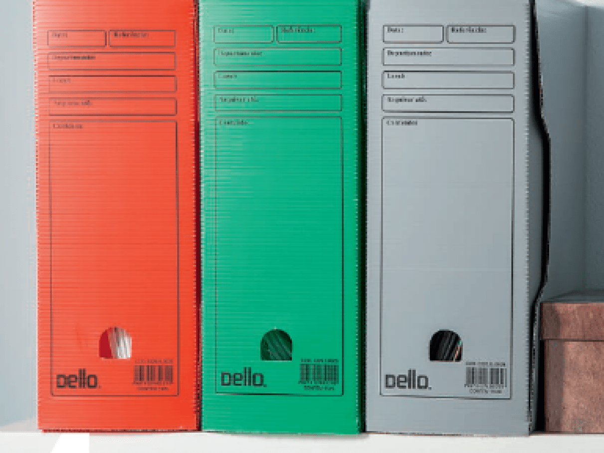 Documentos de Identidade Adicionais: RG e CNH Fora do País - inspiração 2