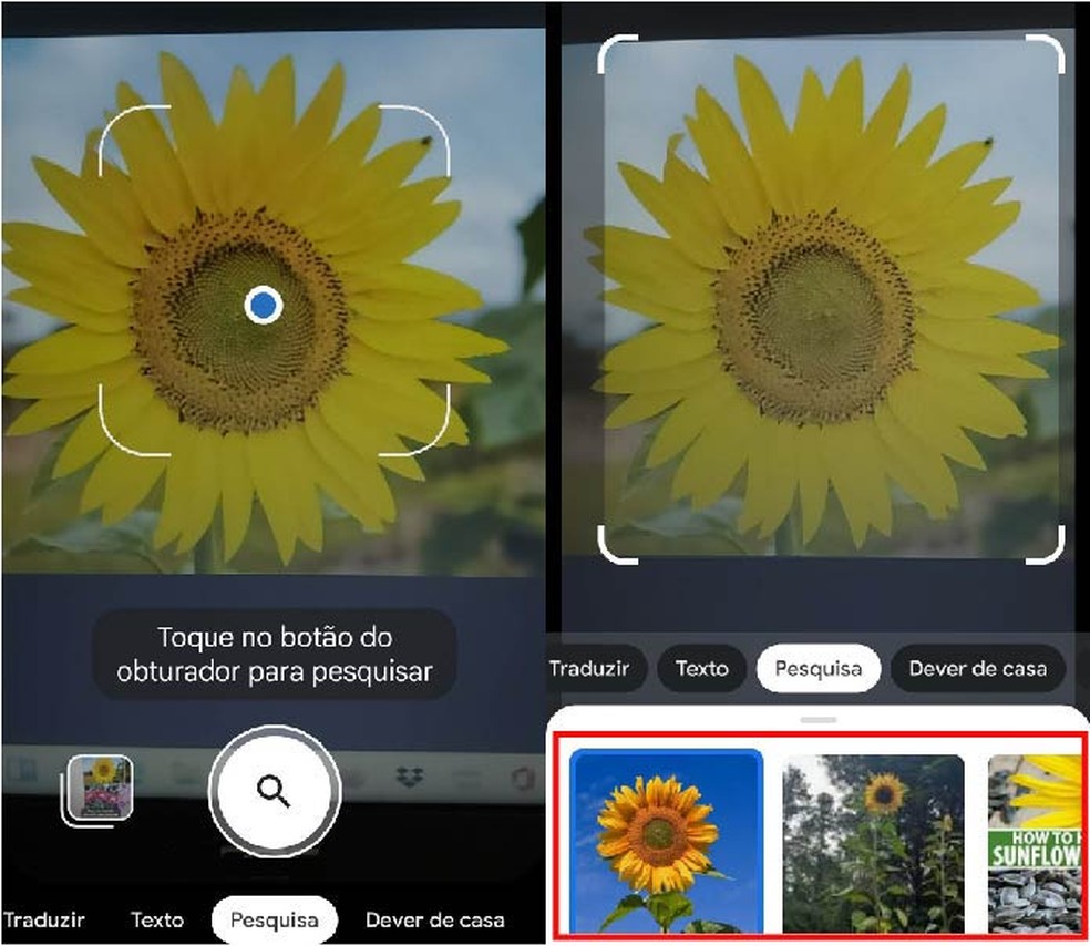 O Que Exatamente é o Google Lens e Como Ele Funciona? - inspiração 1