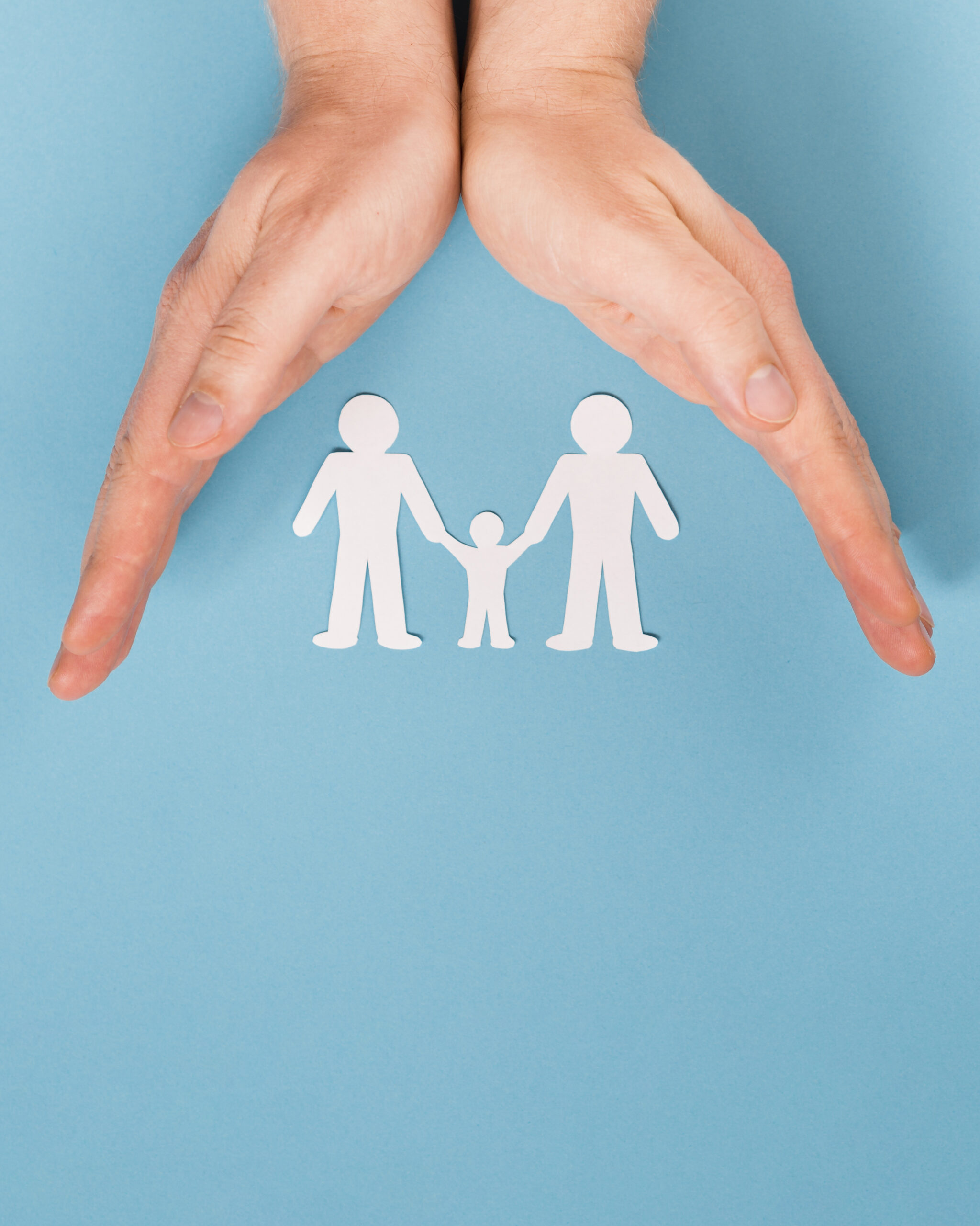 Como a Holding Protege Seu Patrimônio Contra Dívidas e Riscos Externos? - inspiração 1