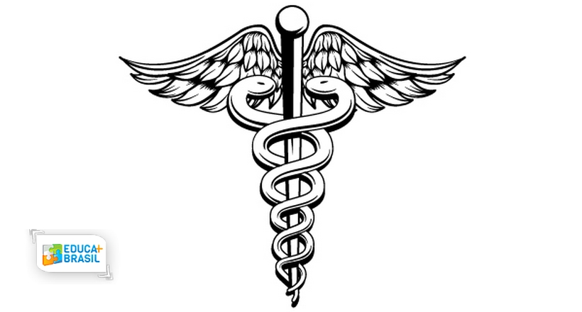 Evitando armadilhas: como a falta de organização pode prejudicar sua imagem. - inspiração 1