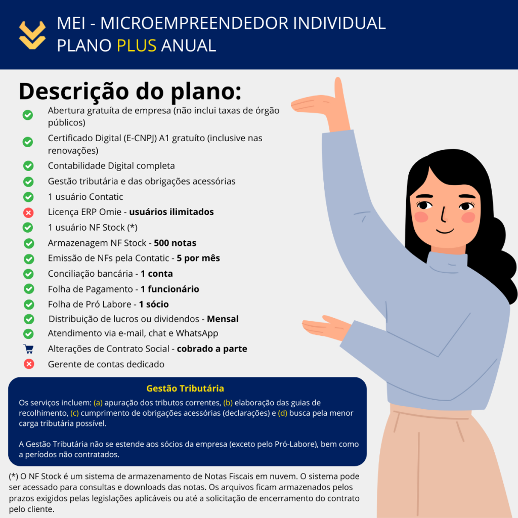 Contabilidade Online: O Que Exatamente Ela Faz Pelo Seu Negócio? - inspiração 1