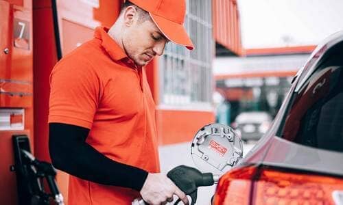 Como a Vittoria Vanin Simplifica a Burocracia Empresarial - inspiração 1